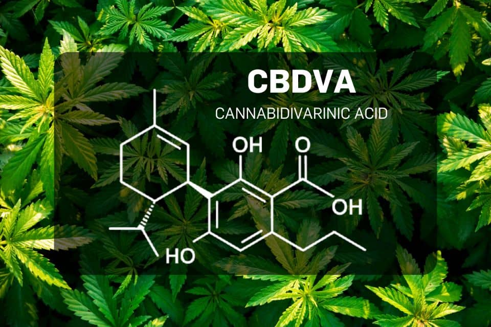CBDVA-Molekülstruktur über Hanfblättern