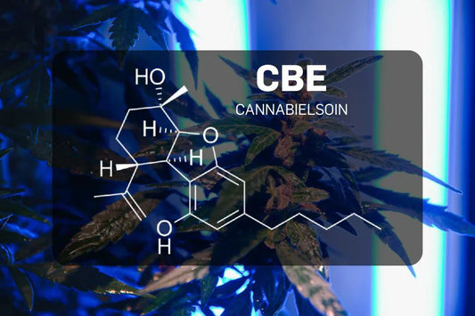 CBE-Molekularformel mit dunklem Cannabis