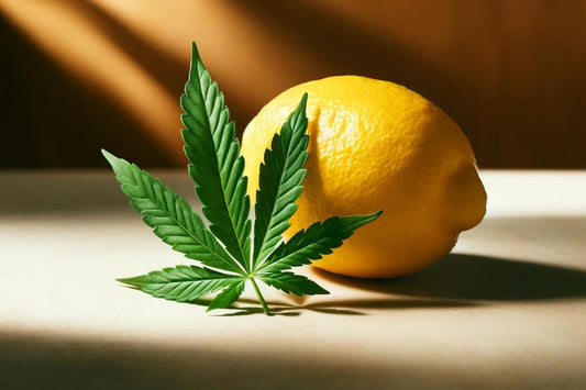 Eine Zitrone und ein Cannabisblatt