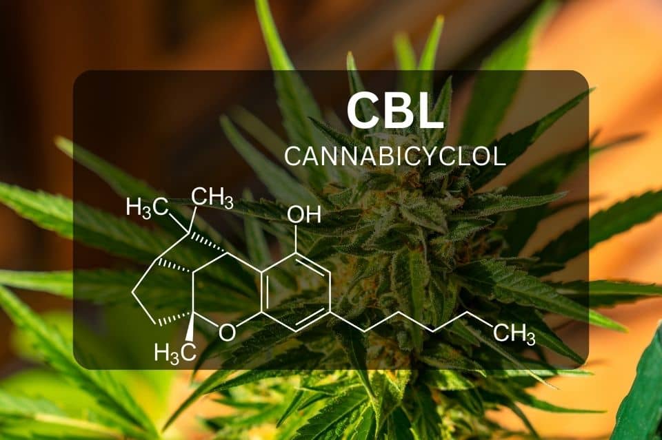 CBL chemische Struktur