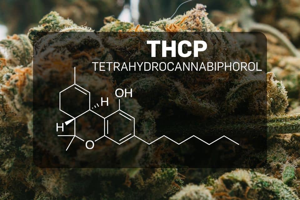 Was ist THCP (Tetrahydrocannabiphorol)?