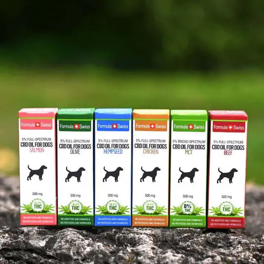 Bio CBD-Öl für Hunde